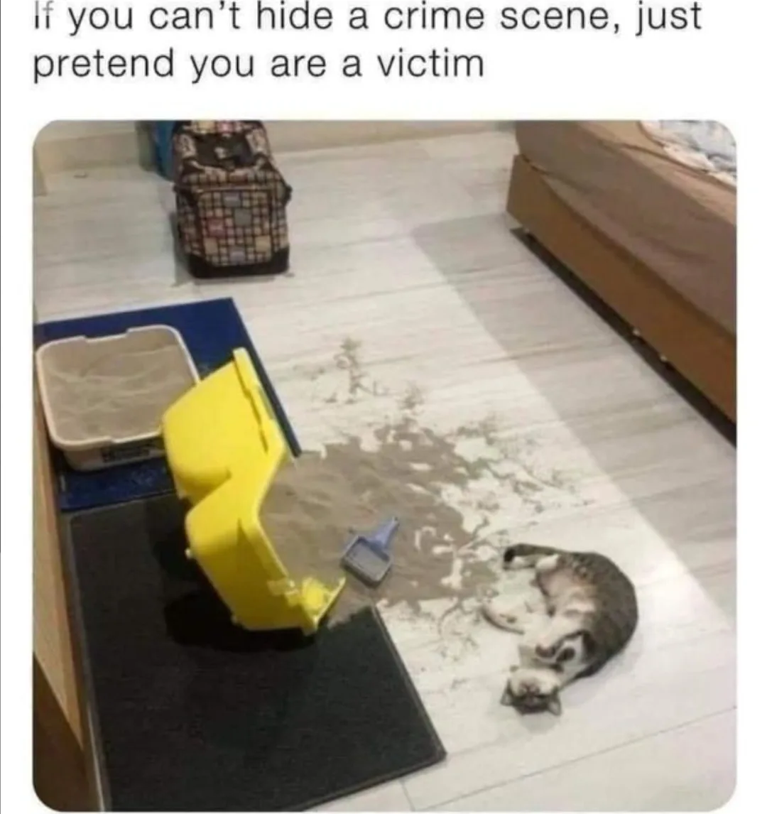 crime meme