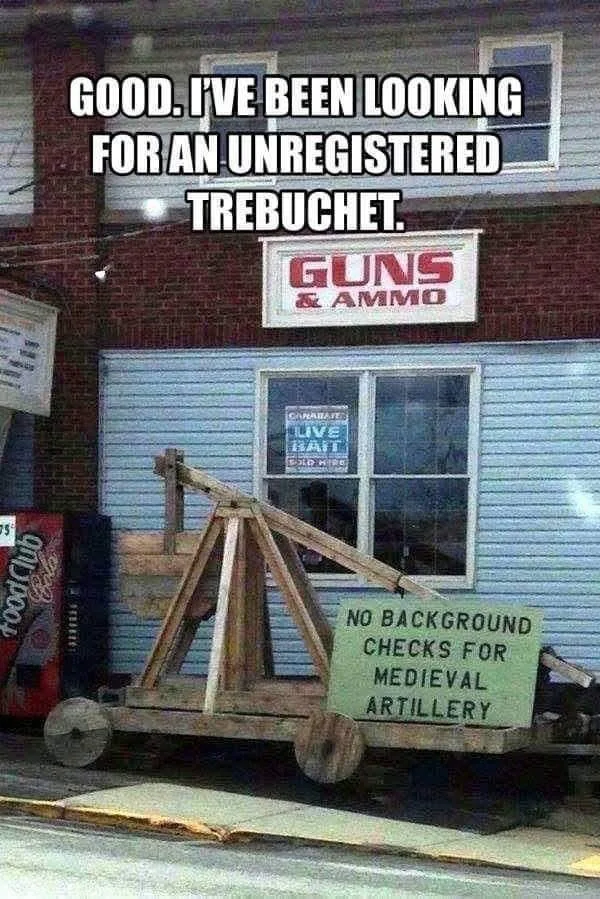 gun ownership meme