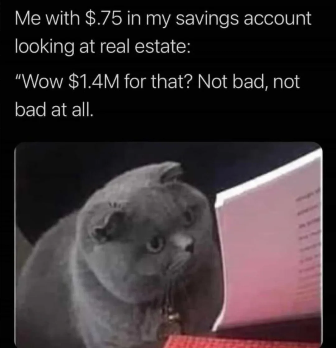 Zillow meme