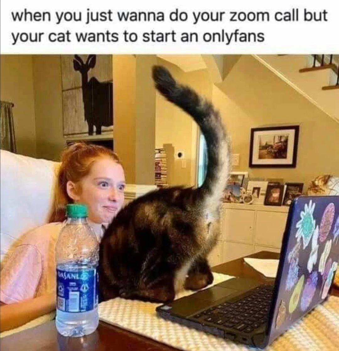 Onlyfans meme