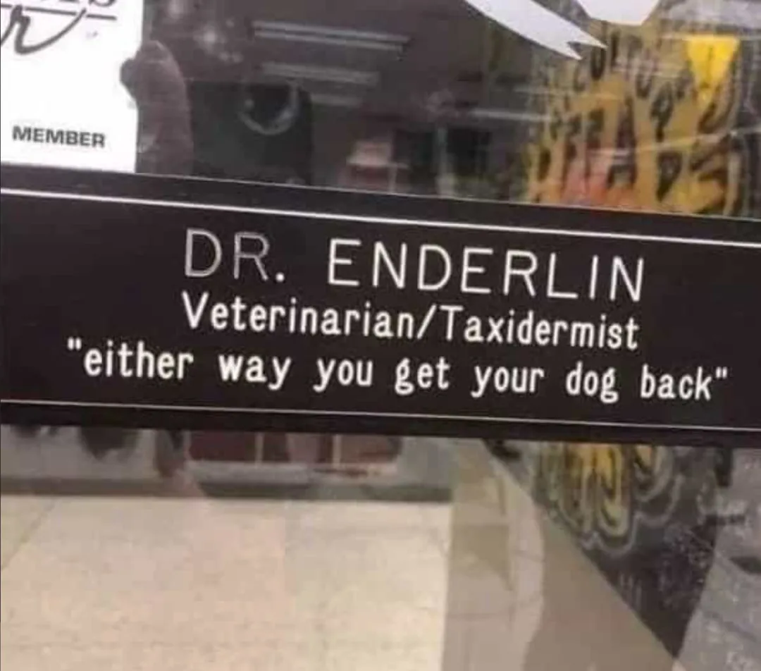 taxidermy meme