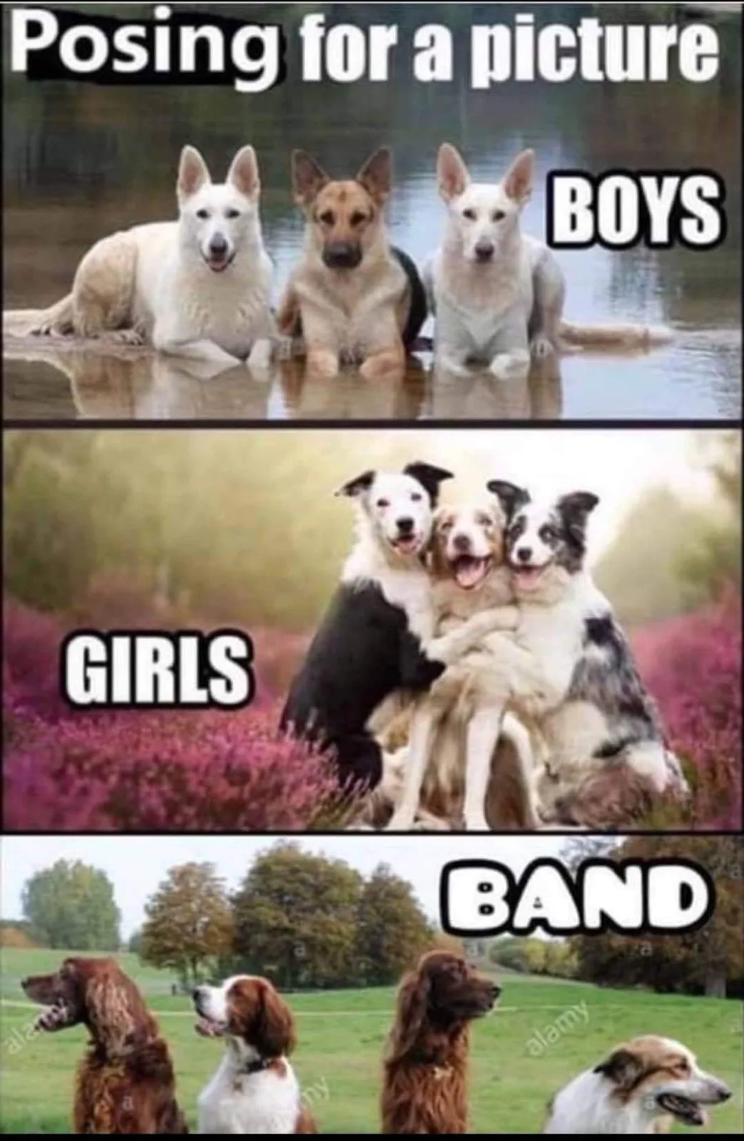 photography meme
