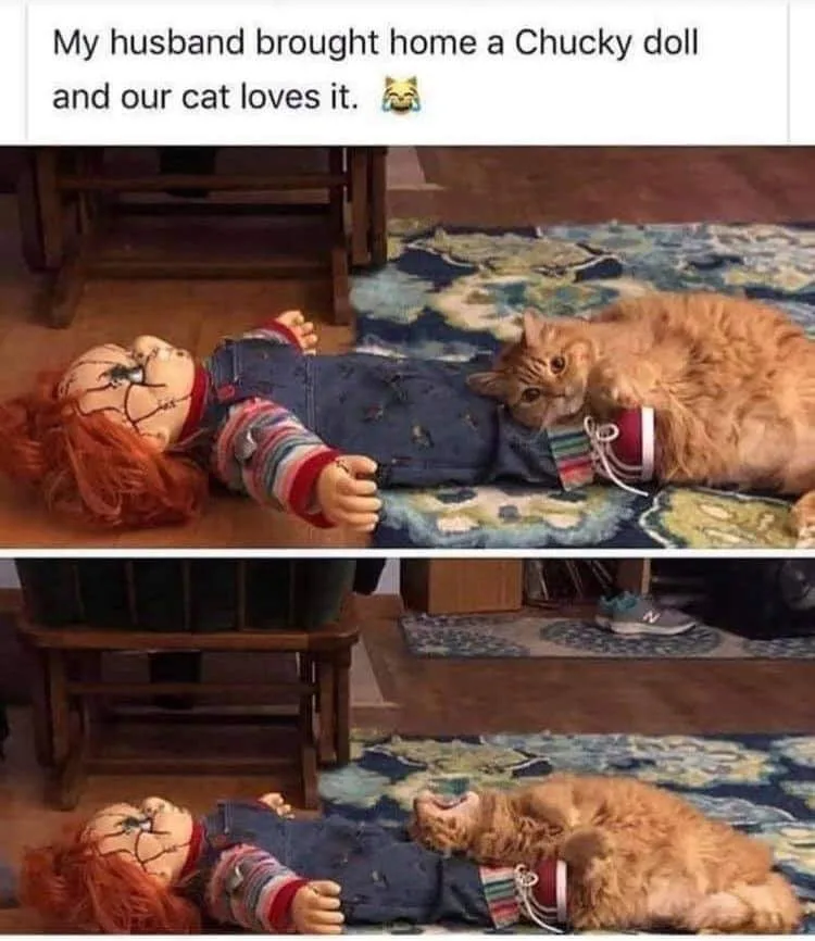 bad behavior meme