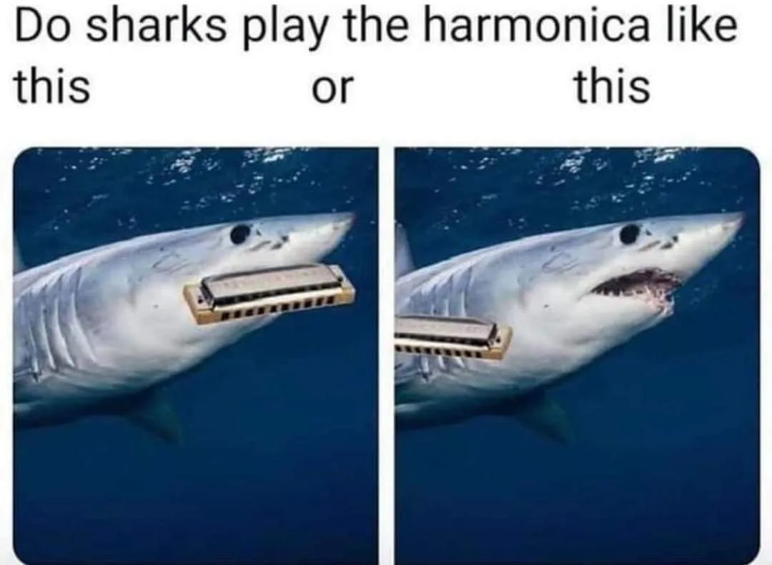 shark meme