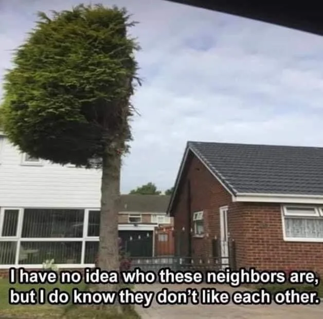neighborliness meme