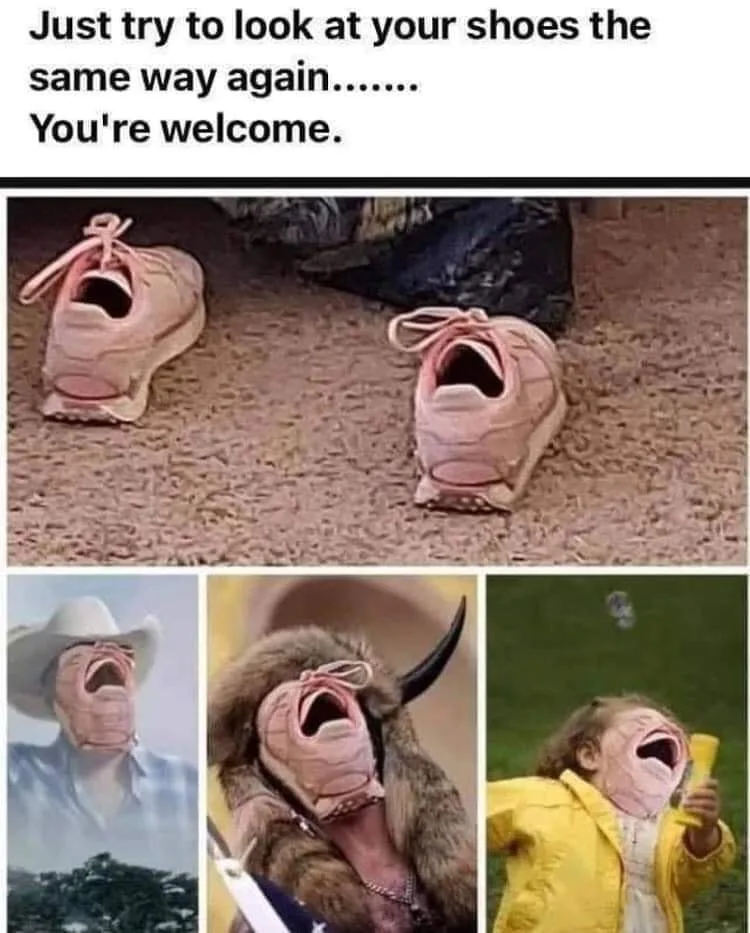 shoe meme