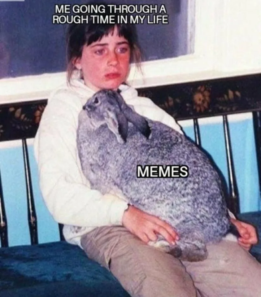 struggle meme