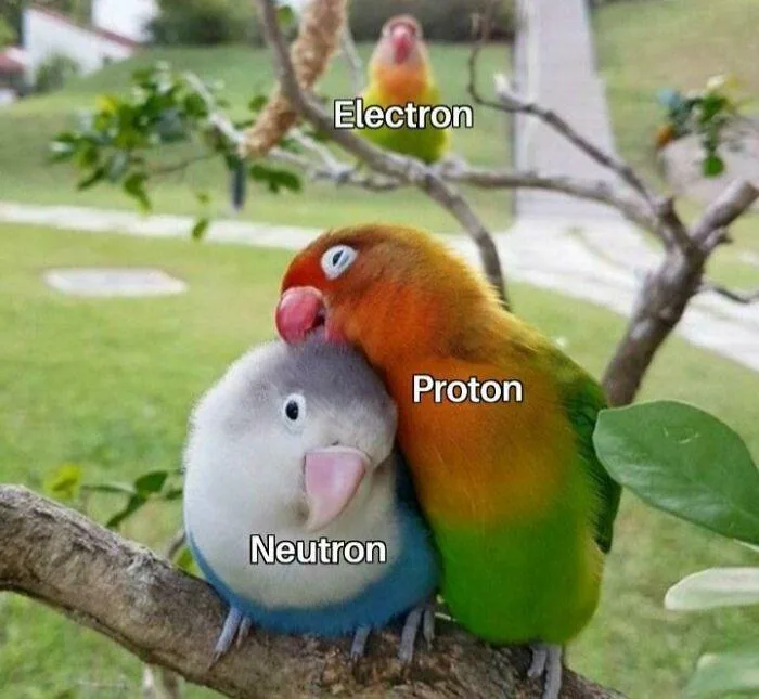 atom meme