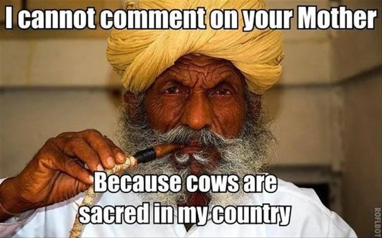 cow meme