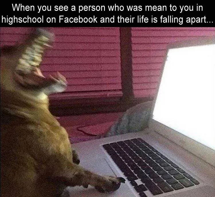 vicariousness meme