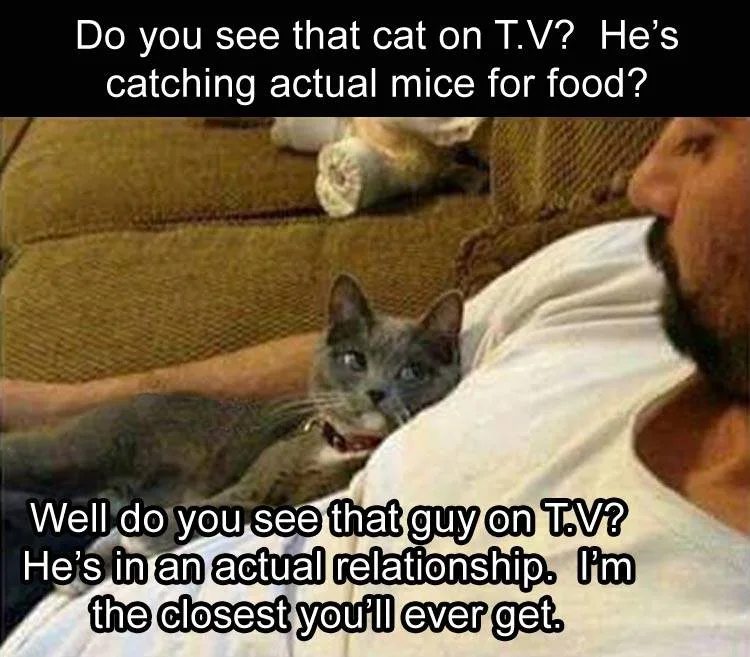 judging meme
