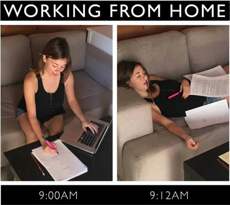 working remotely meme
