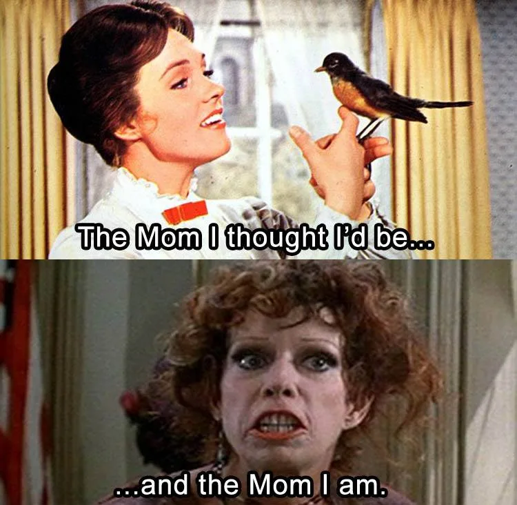 motherhood meme
