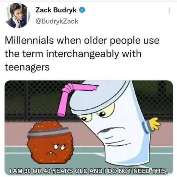 millenial meme