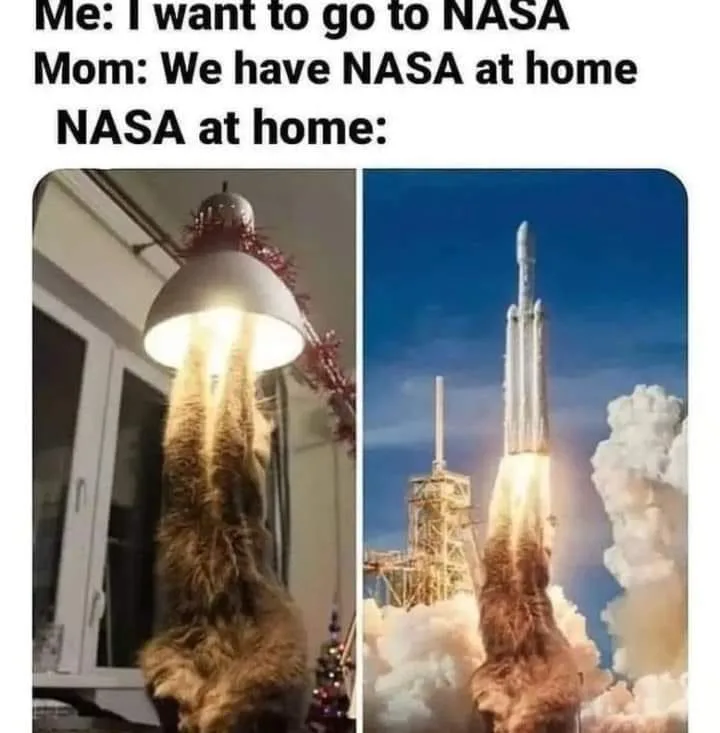 NASA meme