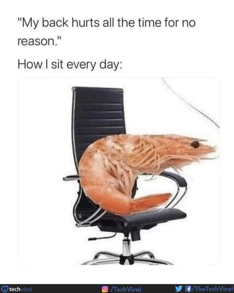 posture meme