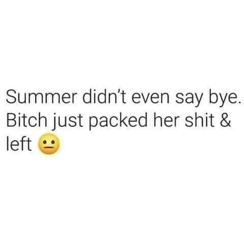 summer meme