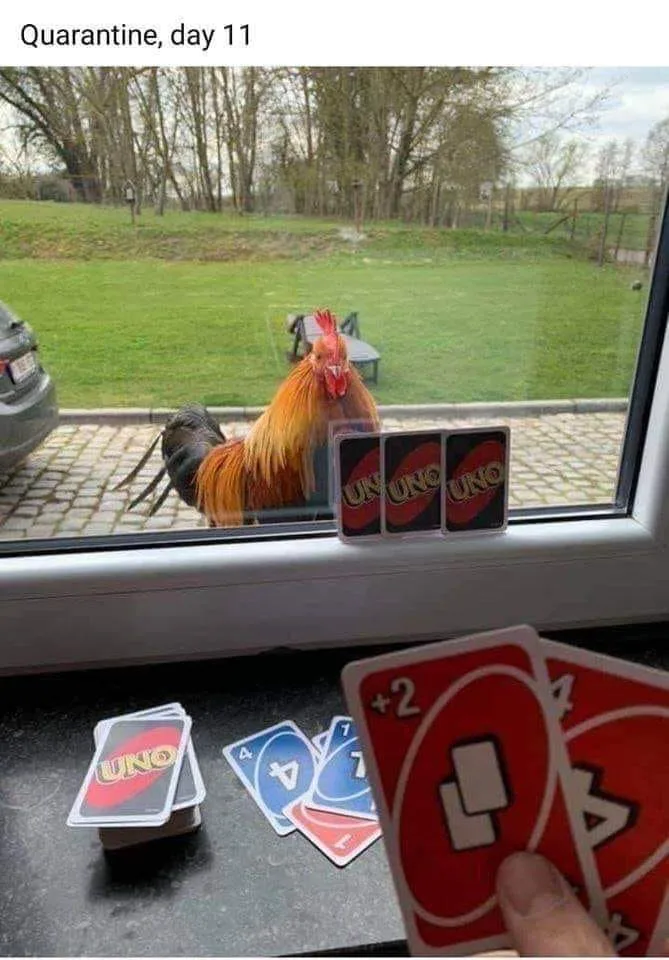 Uno meme