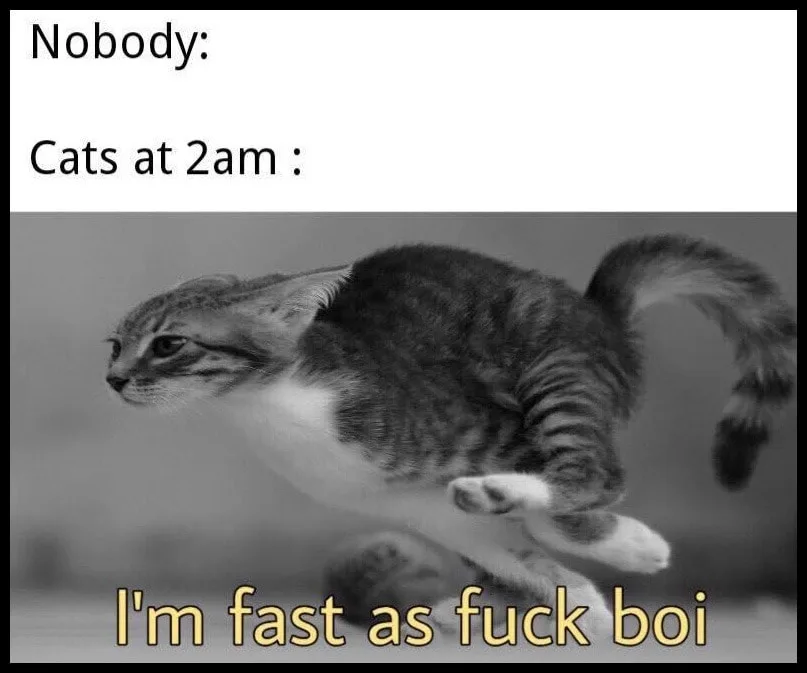 2 a.m. meme