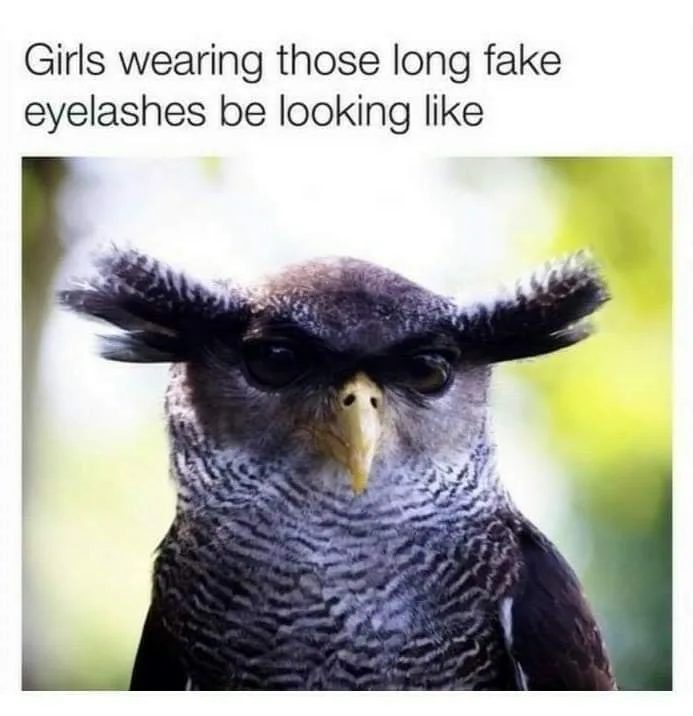eyelash meme
