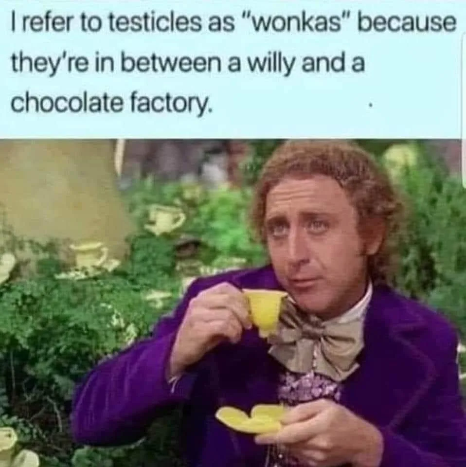 Willy Wonka meme