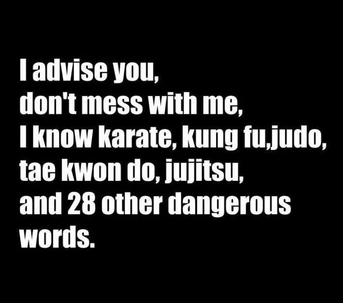 martial arts meme