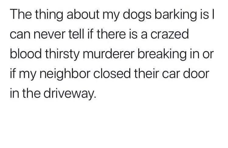 barking meme