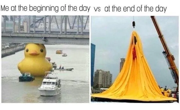 exhaustion meme