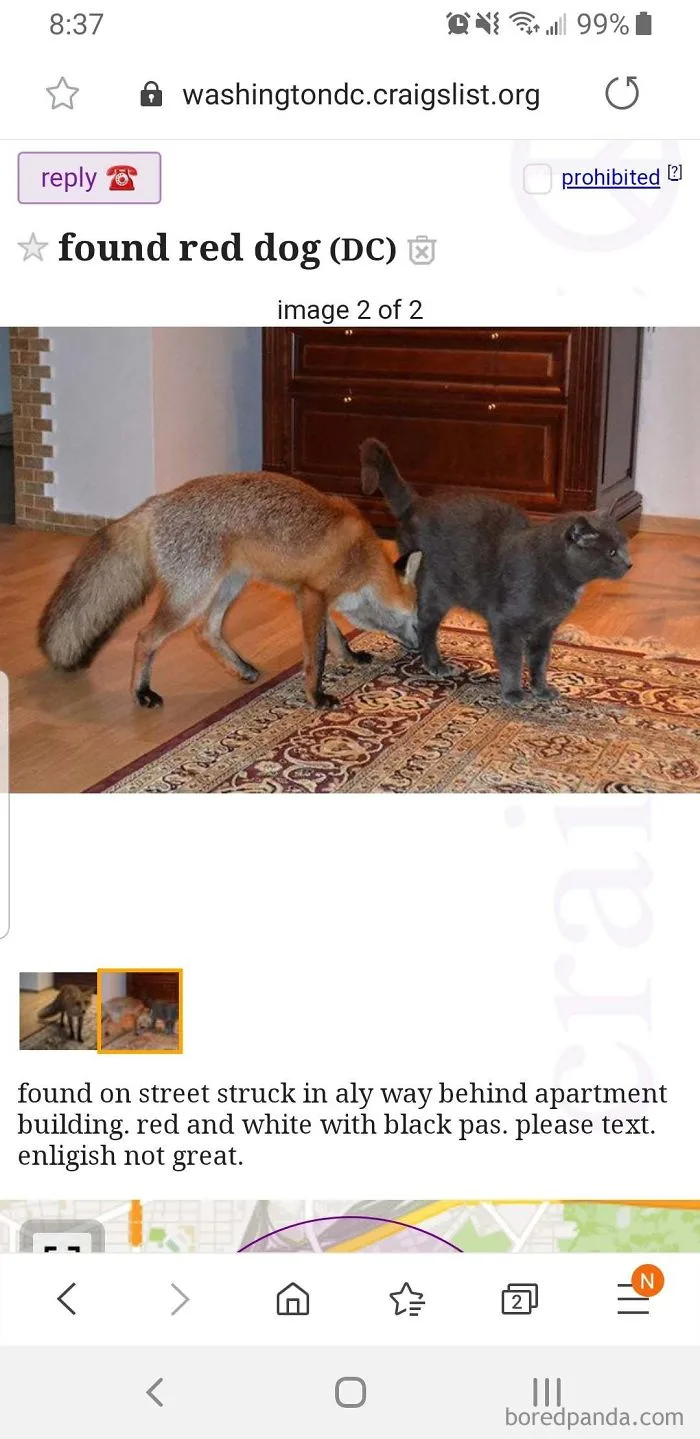fox meme