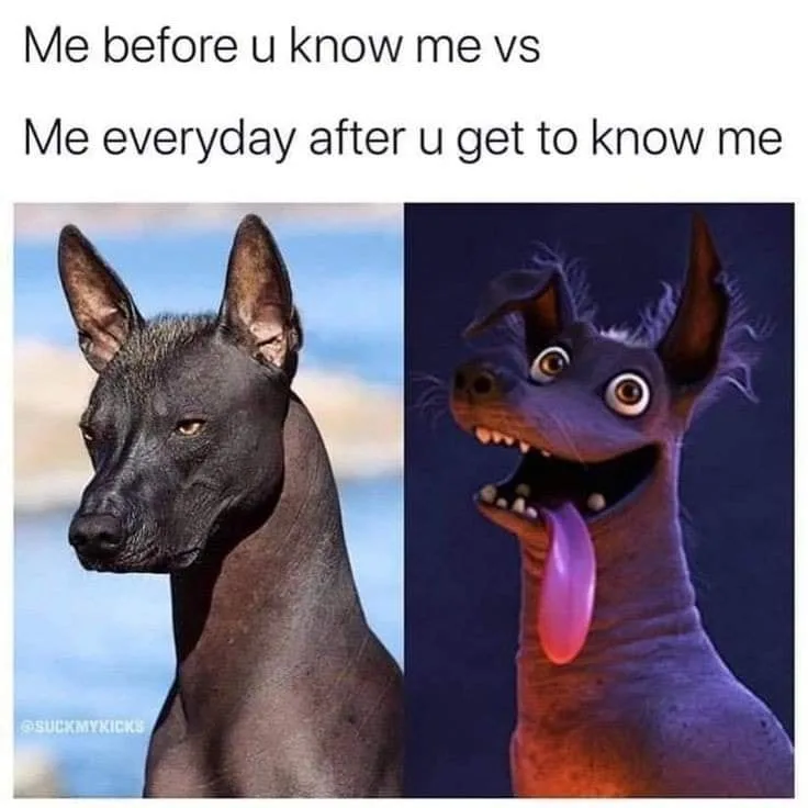 familiarity meme