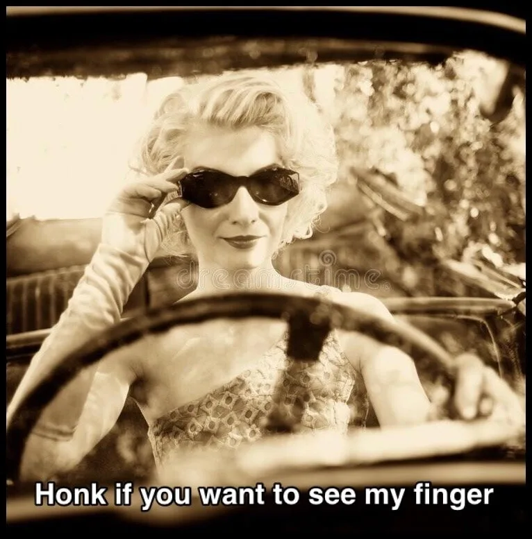 driving meme