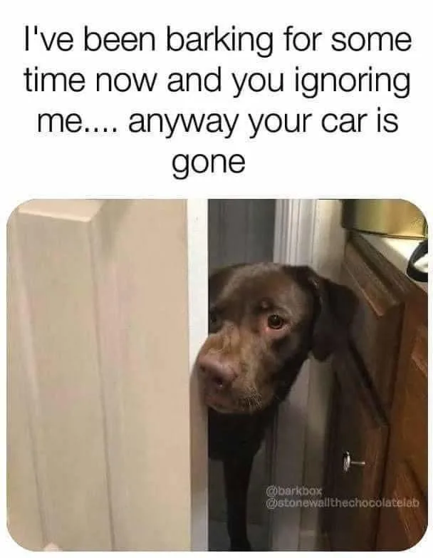 guard dog meme
