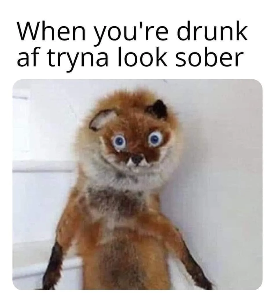 sobriety meme
