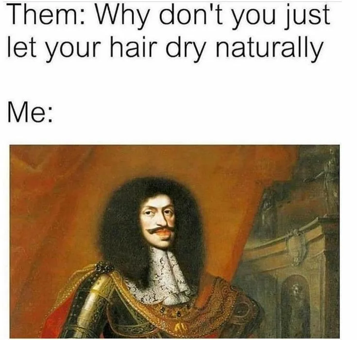 hairdryer meme