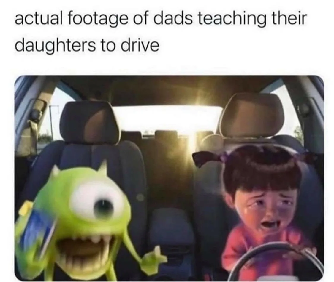 driving meme