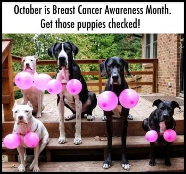 October meme