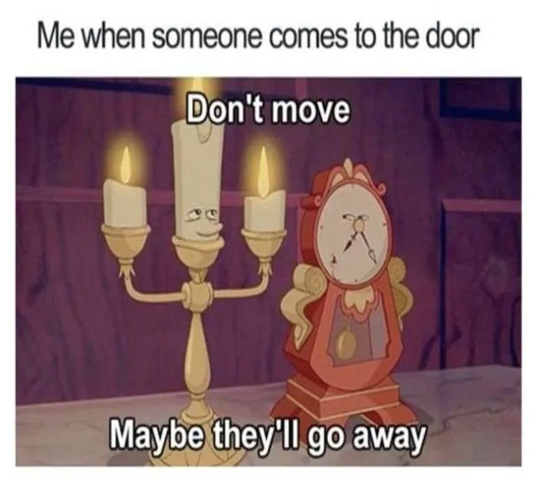 visitor meme