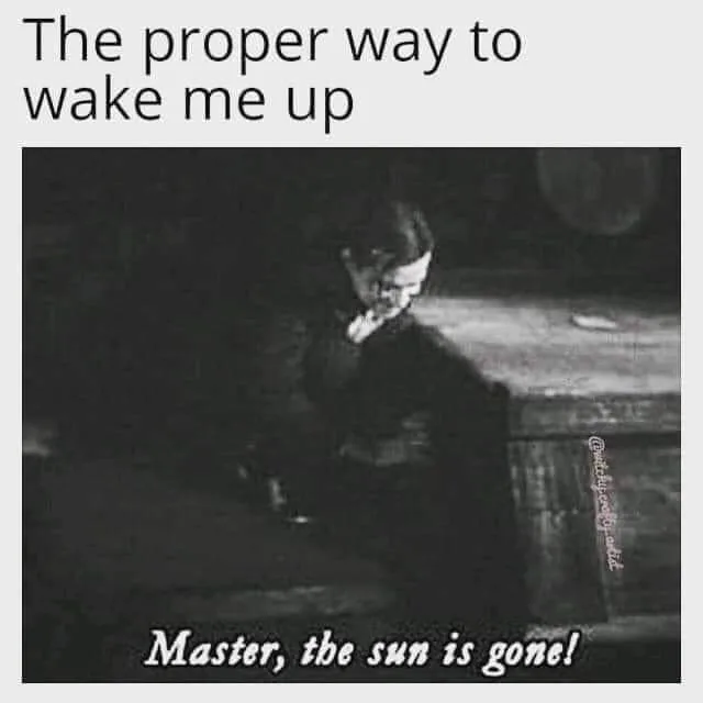 sleeping in meme