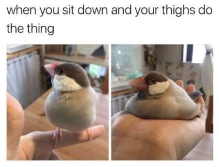 getting fat meme