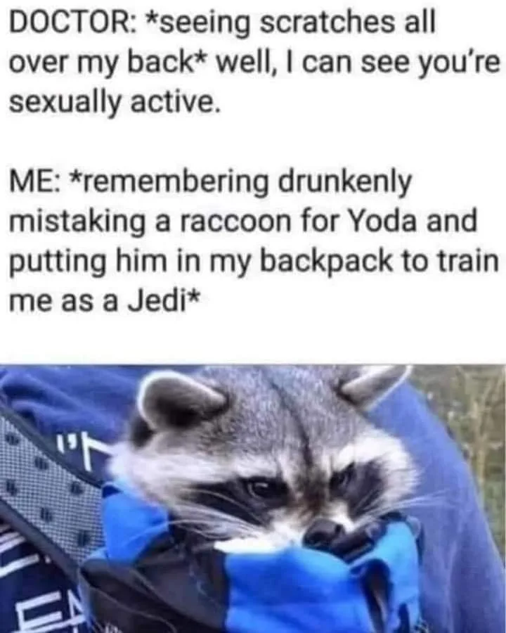 raccoon meme