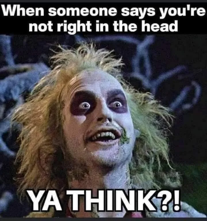 insanity meme