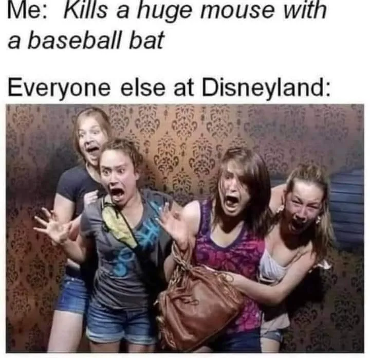 mouse meme