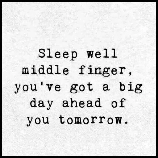 middle finger meme