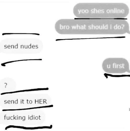sending nudes meme