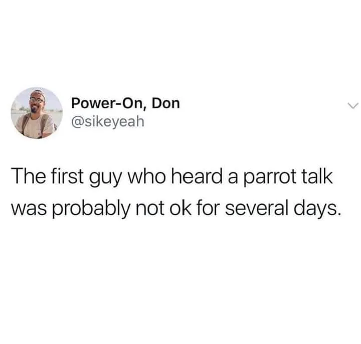 parrot meme