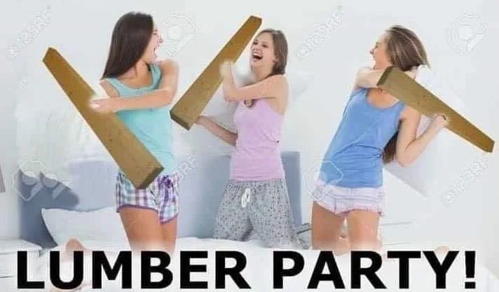 sleepover meme