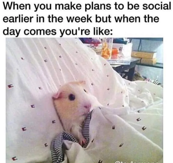 making plans meme