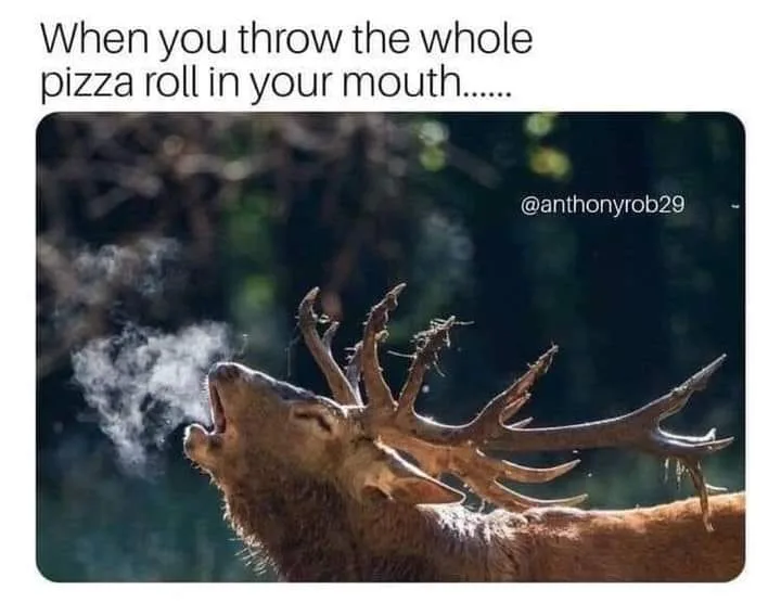 pizza roll meme