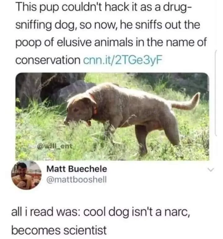 conservation meme