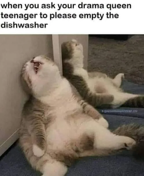chore meme